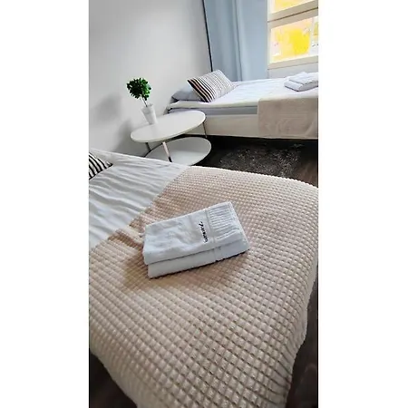 Kotinelioe Lilac * להטי