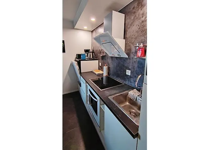 Kotinelioe Lilac 拉赫蒂