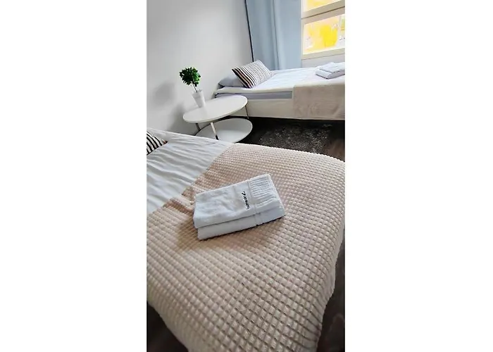 Kotinelioe Lilac * להטי